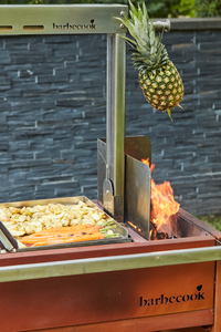 Plancha uit rvs voor Pedro