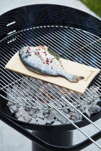 Set de 2 planches de fumage en bois de hêtre